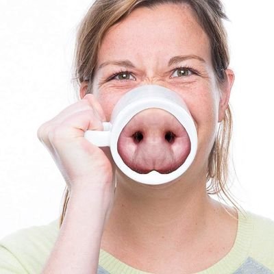 Zweite Ansicht der Schweinetasse